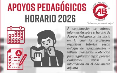 Apoyo pedagógico / Talleres