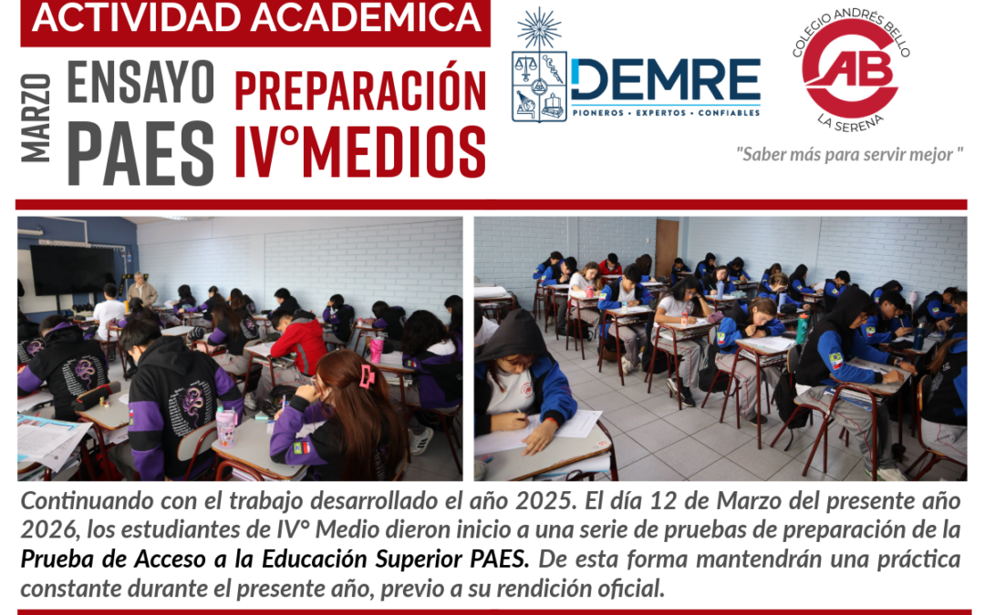 Ensayo PAES IV° Medios