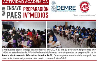 Ensayo PAES IV° Medios